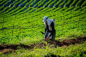 BIB: 
                            <button type="button" onclick="openModal(19160462)" class="btn btn-primary btn-sm float-right btn-popup" data-toggle="modal" data-target=".modal-high-quality">
                        <i class="fas fa-shopping-cart"></i> Add to Cart
                    </button>
                                            <button type="button" onclick="isThisMe(19160462, true)" class="btn btn-success btn-sm float-right btn-popup btn-isme hidden" data-toggle="tooltip" data-placement="bottom" title="นี่คือรูปของคุณใช่ไหม คลิกที่นี่เพื่อเอาเข้าอัลบั้ม">
                        <i class="fas fa-plus"></i> Add to album
                    </button>
                    <button type="button" onclick="isThisMe(19160462, false)" class="btn btn-warning btn-sm float-right btn-popup btn-isnotme hidden">
                        <i class="fas fa-ban"></i> Remove from album
                    </button>